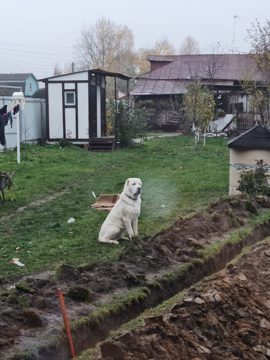Наш помощник :-)