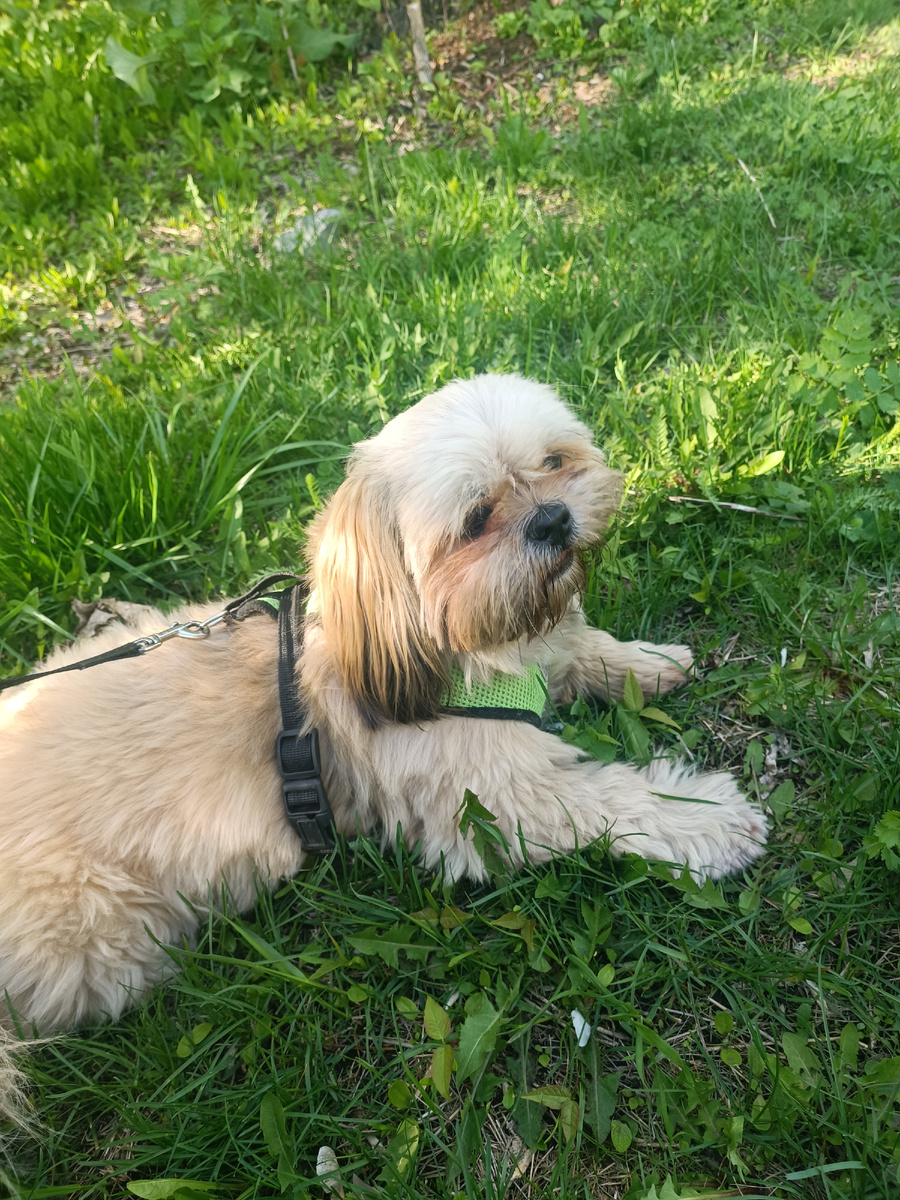 Прогулки в мае