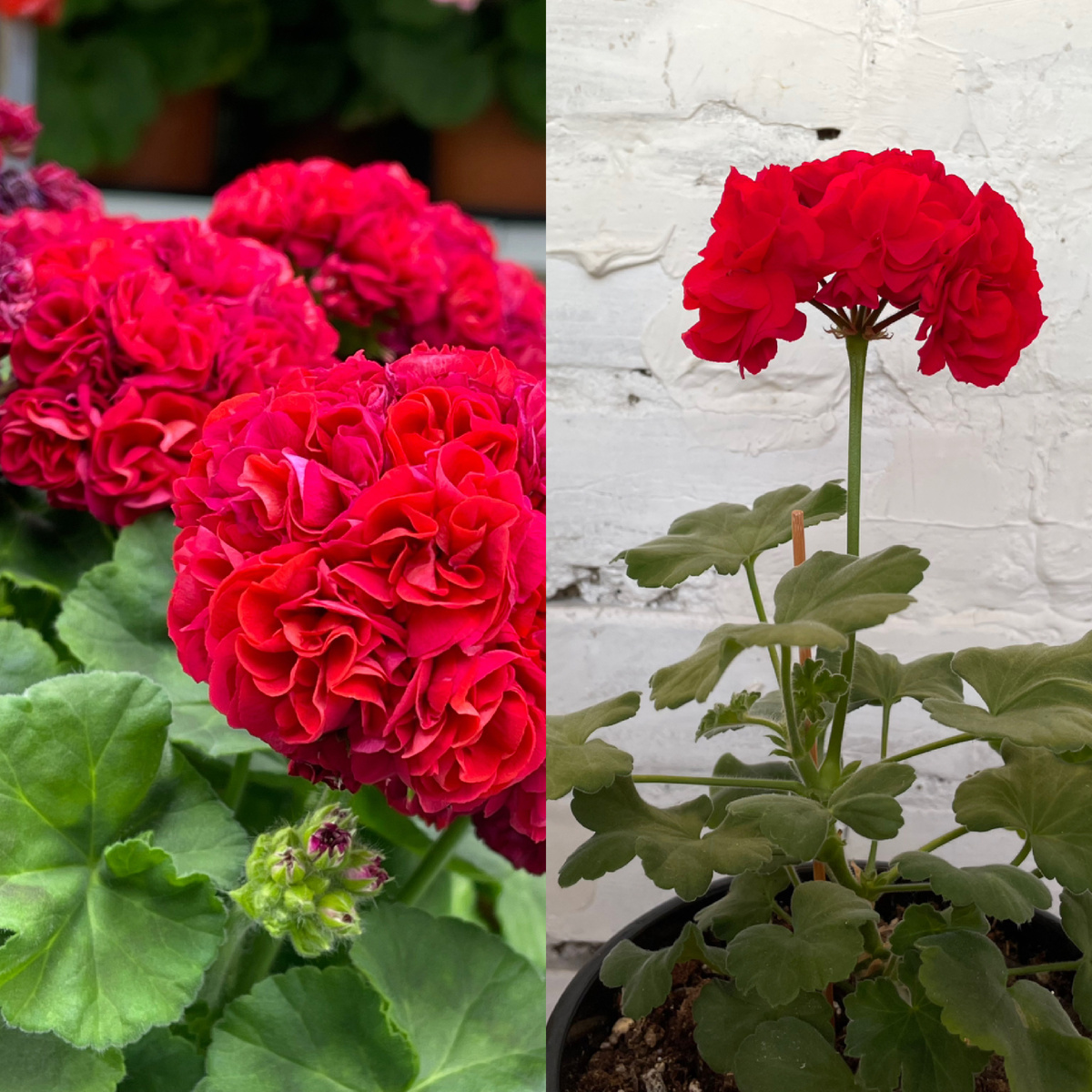 Ожидание/ реальность 