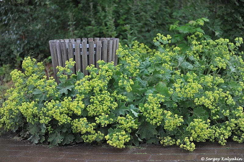 Манжетка мягкая