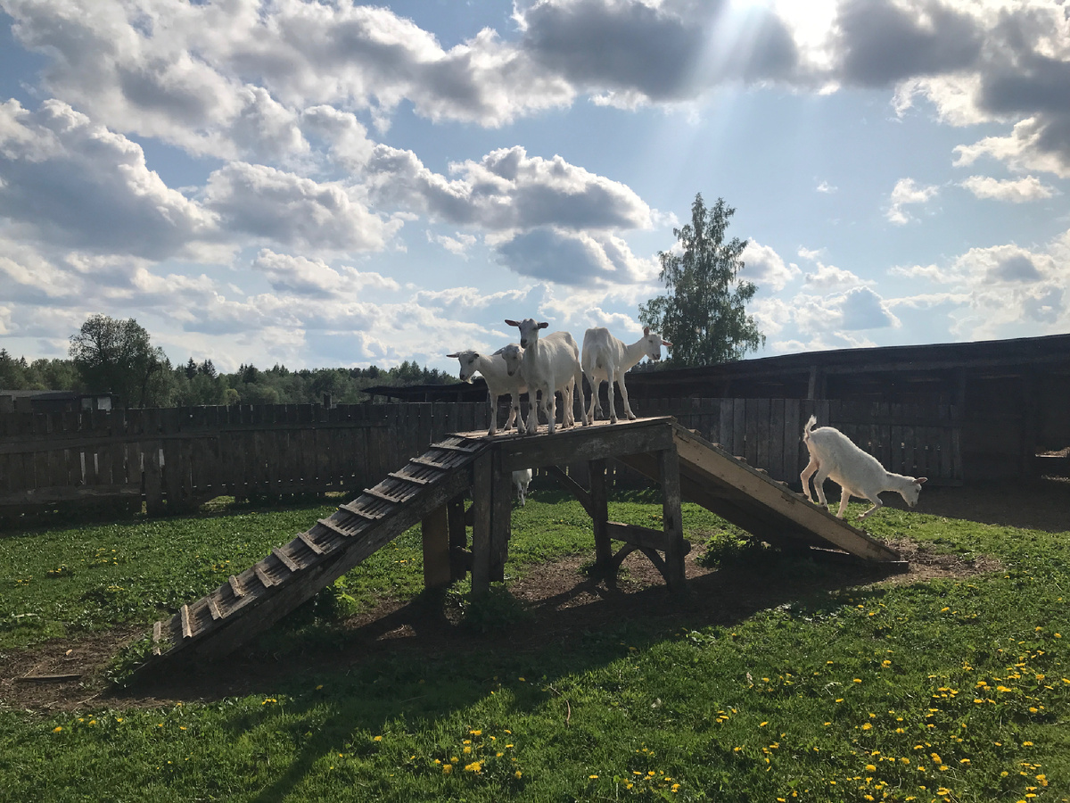 Фото автора