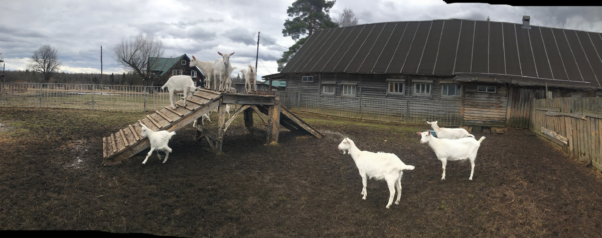 Фото автора