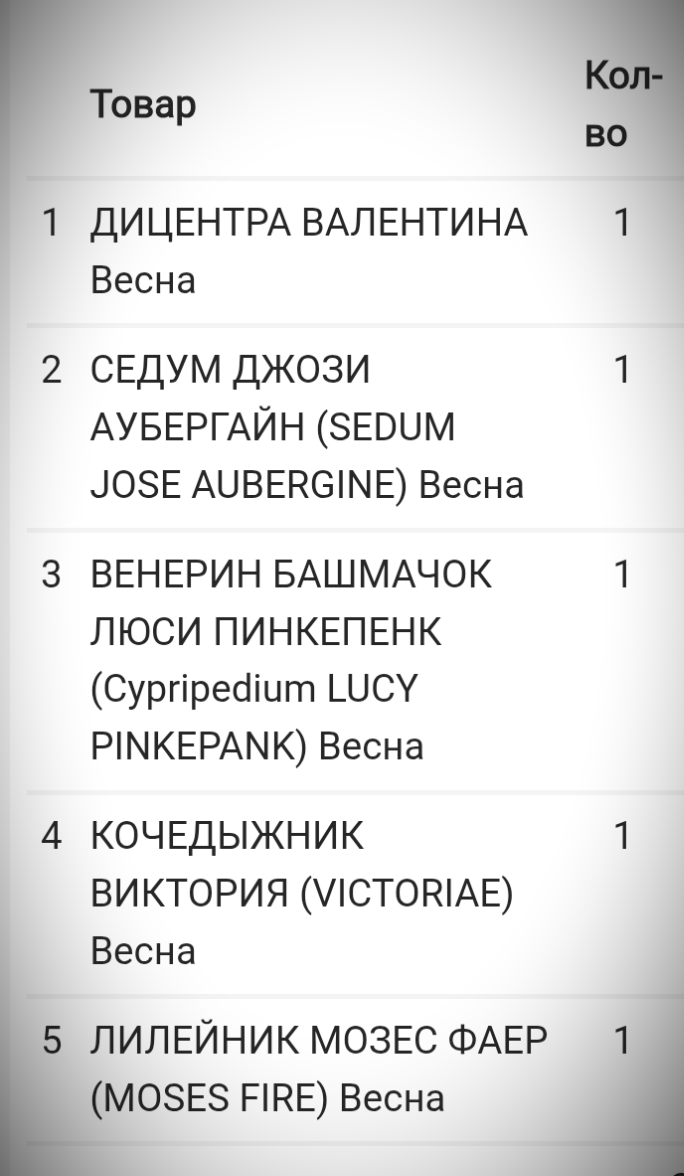 Фото из личного архива автора