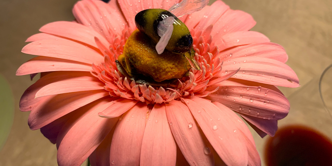 Ресторан высокой кухни "Twins Garden". Отведал 12 блюд за 27 000 руб.