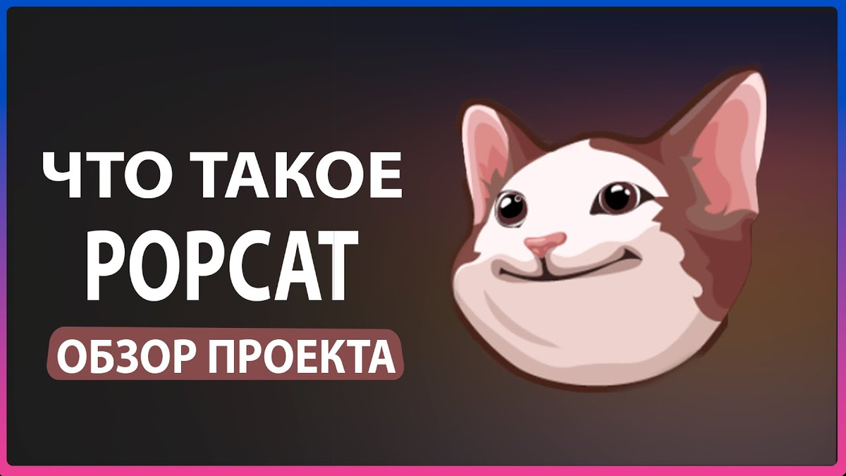 POPCAT — новая мем-криптовалюта