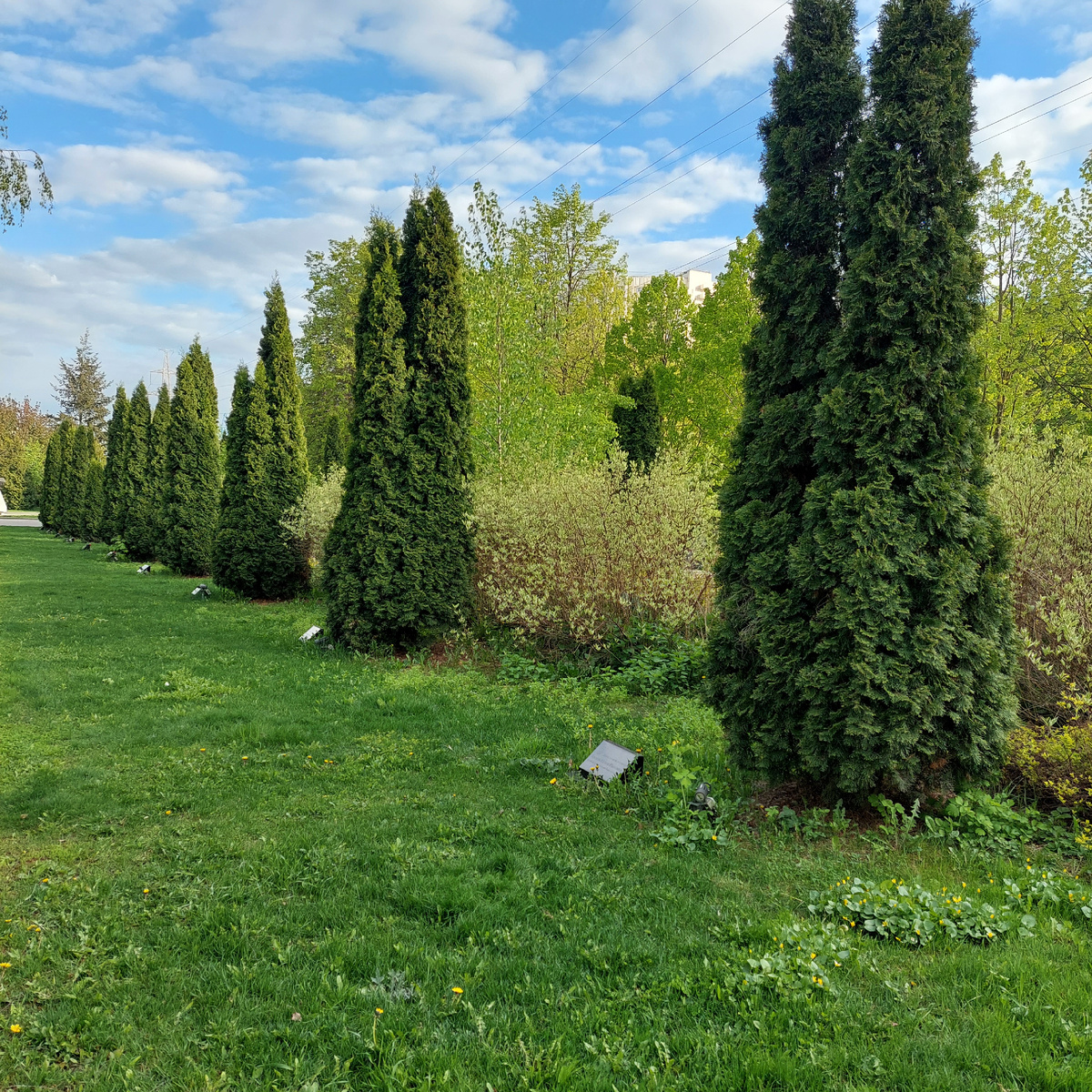 Фото автора.