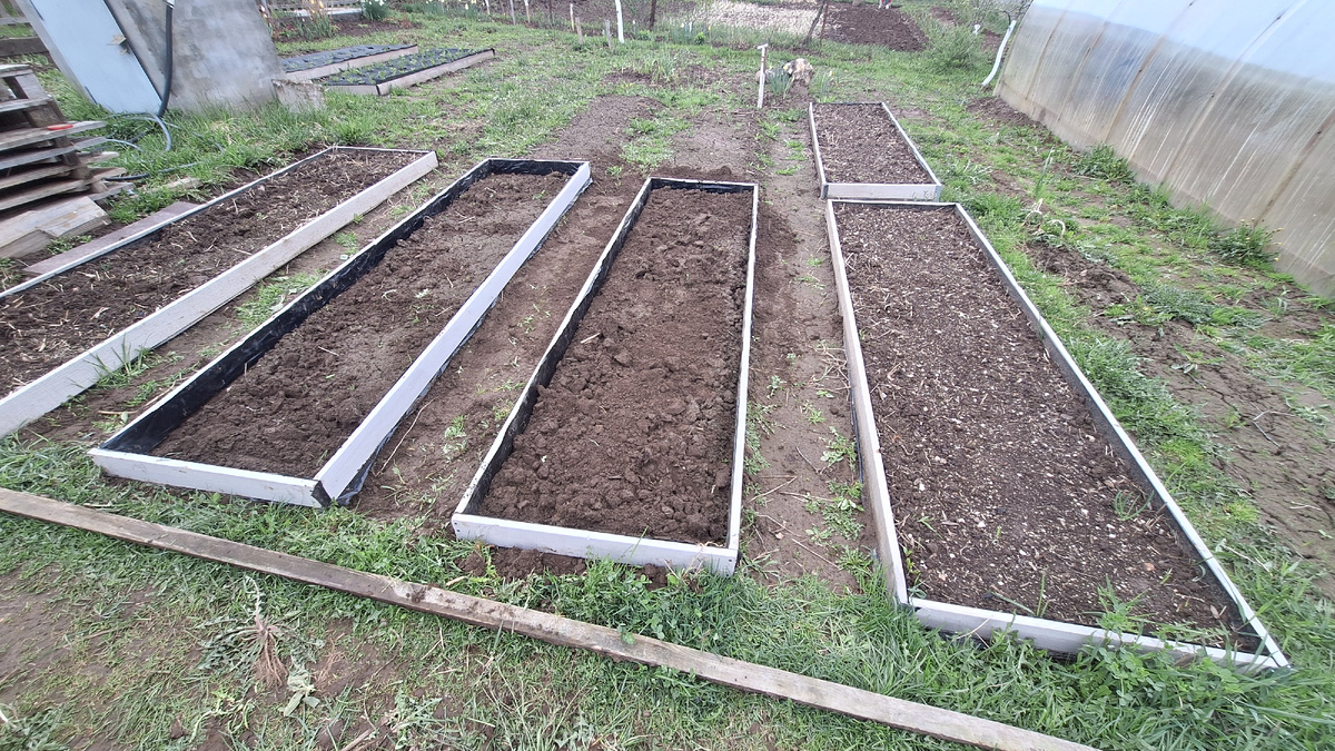 Фото автора. Высокие грядки.