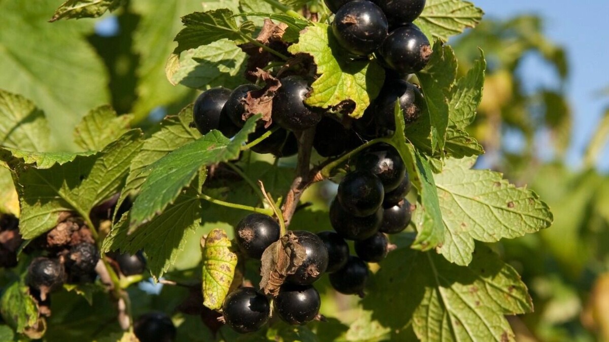     Источник: freepik.com