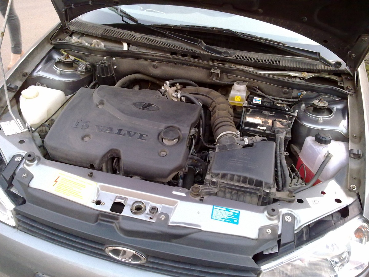 Фото заимствовано - https://immunocap.ru/photo/dvigatel-kalina-2-universal/66