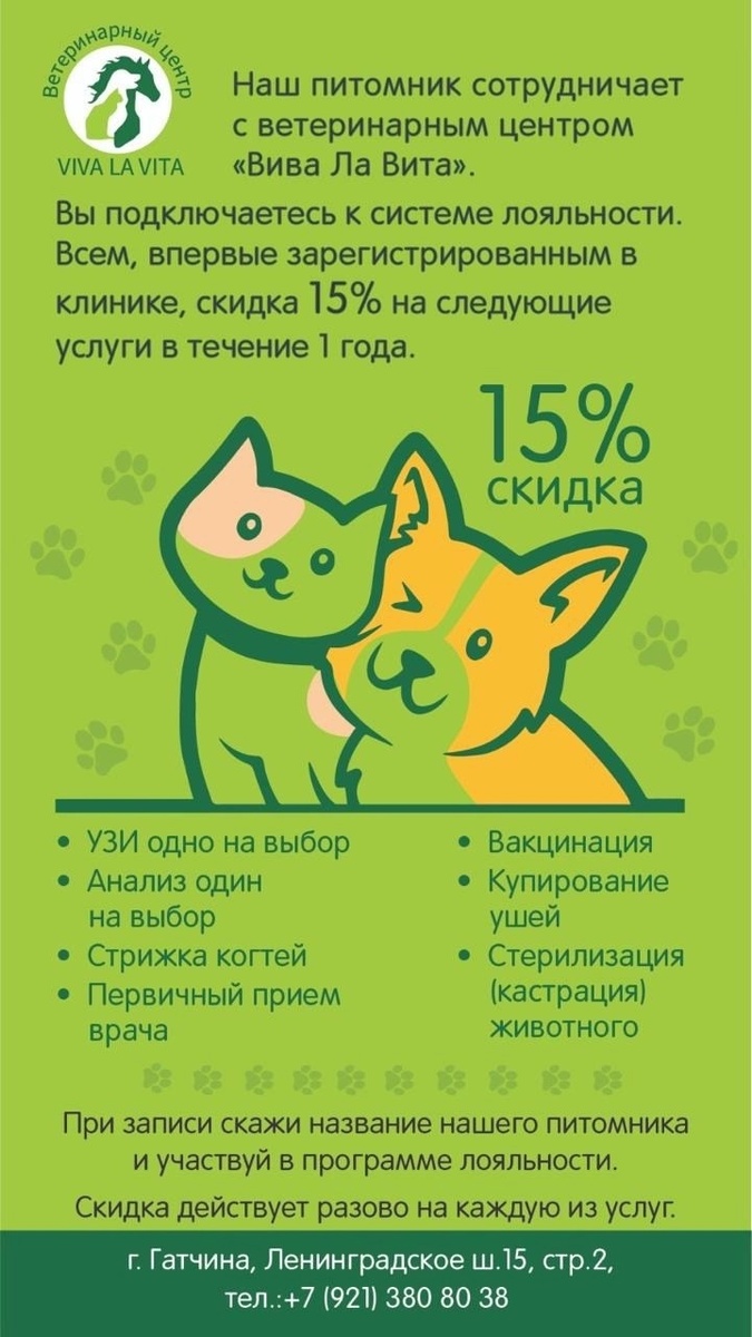 ЗАПИСЬ ПО ТЕЛЕФОНУ НА КУПОНЕ