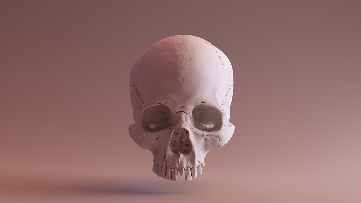    Фото: vm.ru Олеся Шмелева