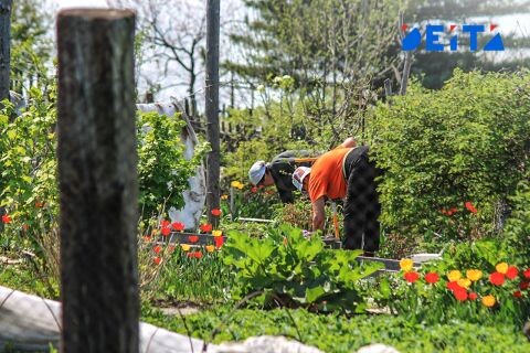 Холода не уходят: синоптик назвал даты в мае, когда можно сажать рассаду