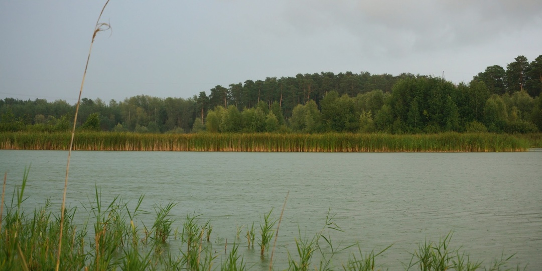 Васильевские озера в Тольятти