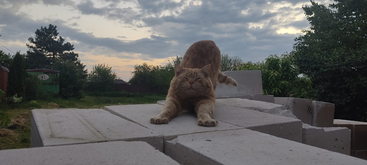 К приёму пищи готов