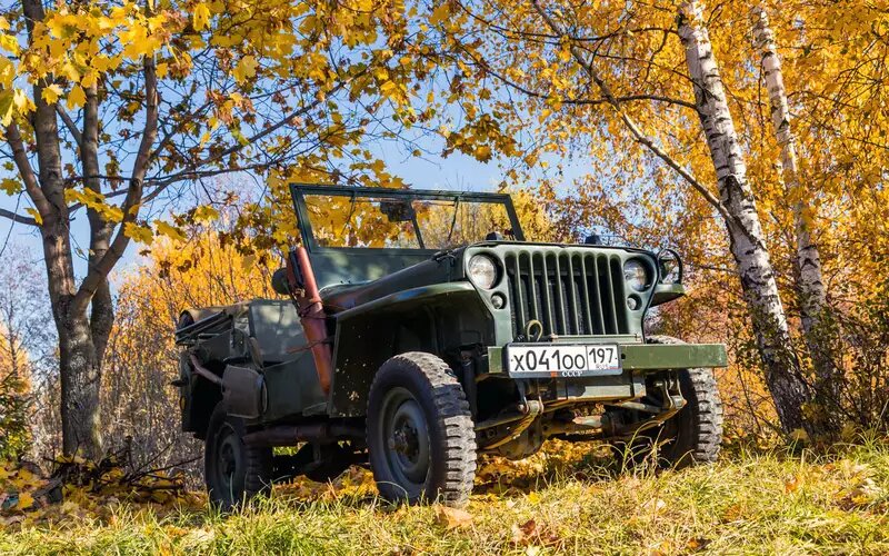    Willys MB – один из самых любимых автомобилей фронтовых водителей.