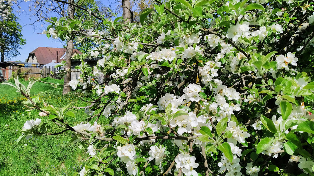    © Victor Lisitsyn, Виктор Лисицын/Globallookpress