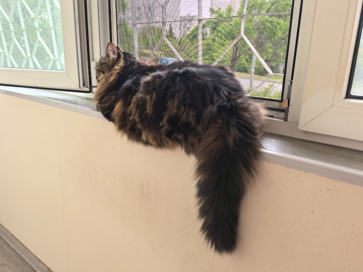 Что-то я большой на этой фотке получился.