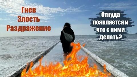 Из открытых источников Яндекса.