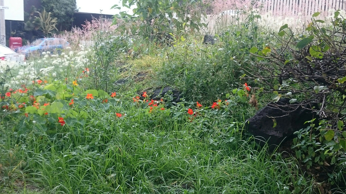 Designed by Freepik. Источник: www.freepik.com