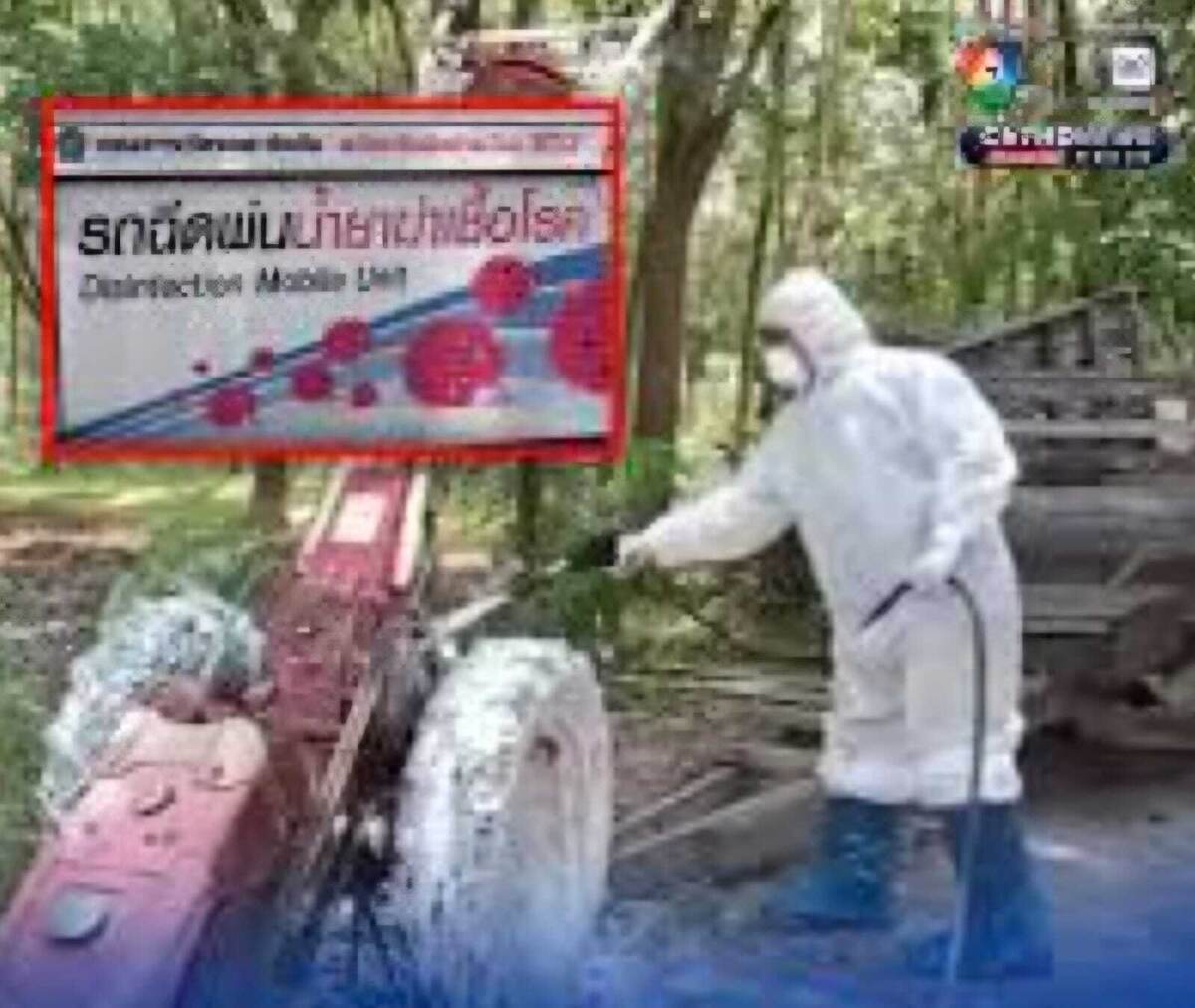 Просим прощения за качество фото. Видимо, фотографы снимали, отойдя на максимальное расстояние. 