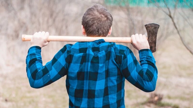     Пила. freepik.com/wirestock