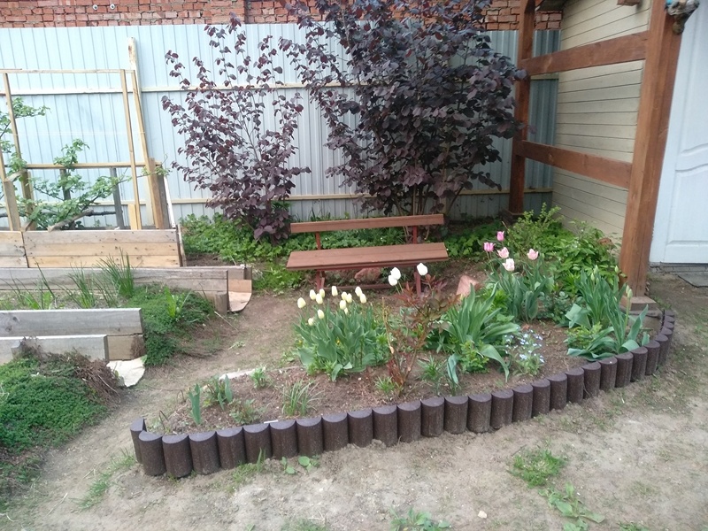 Розарий с тюльпанами. Май 2025 года. Подмосковье