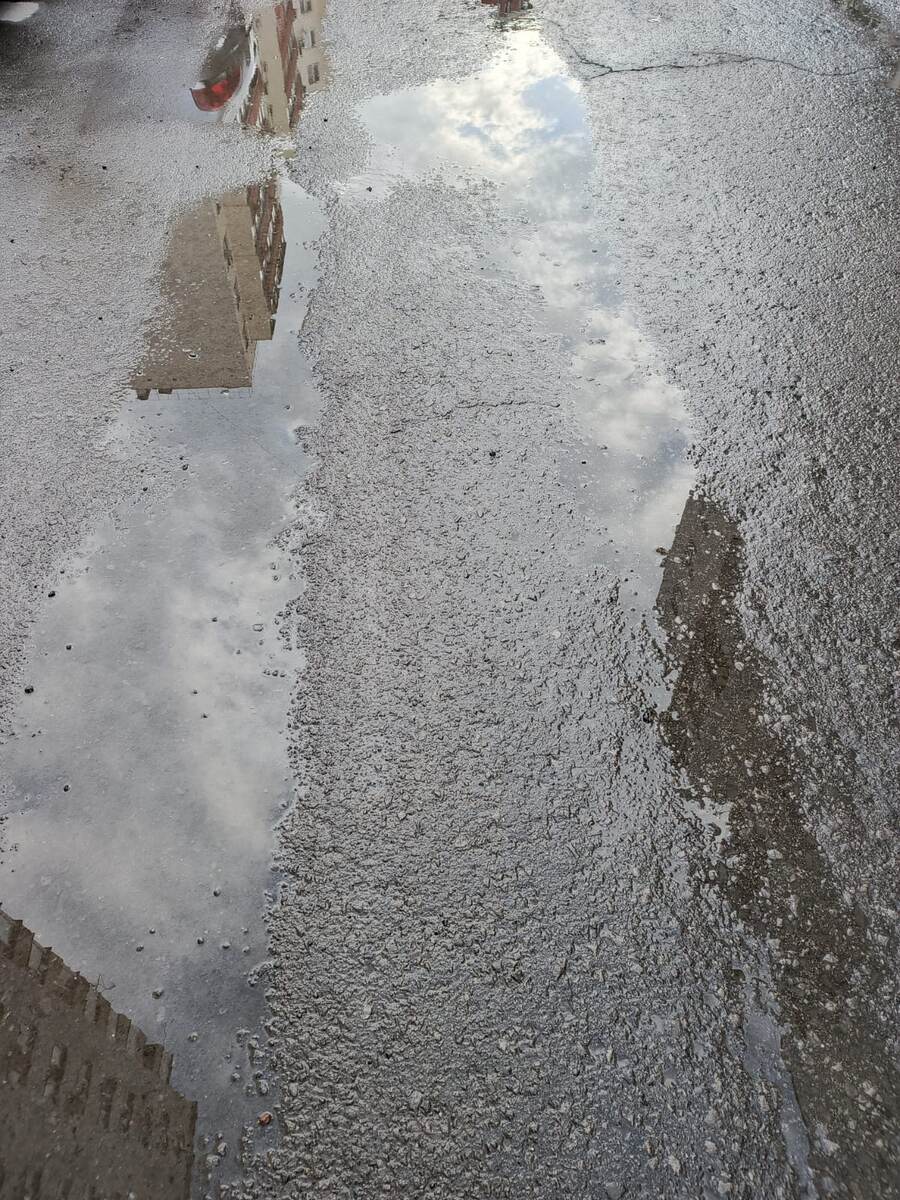 Фото автора.