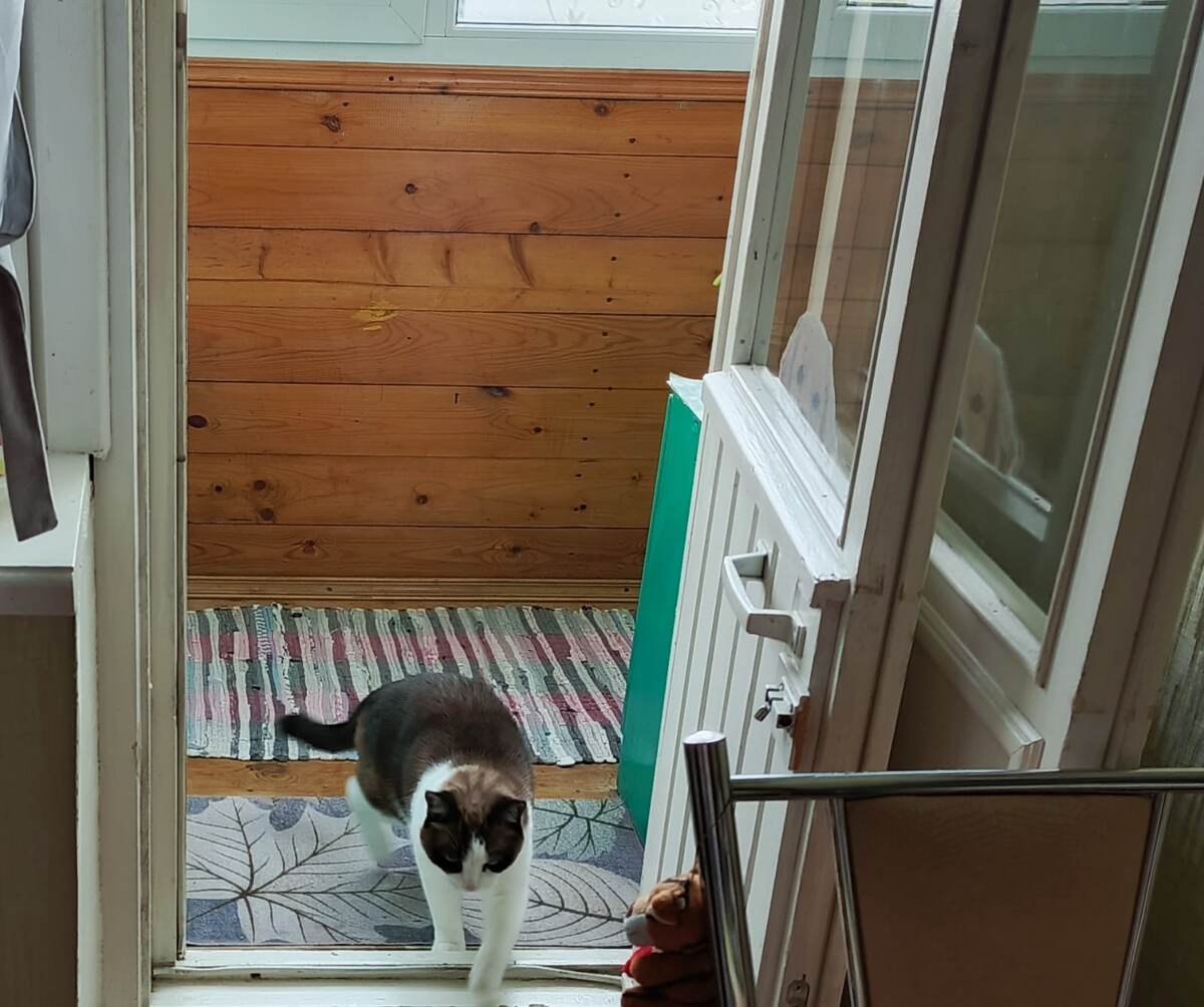 Фото автора. 