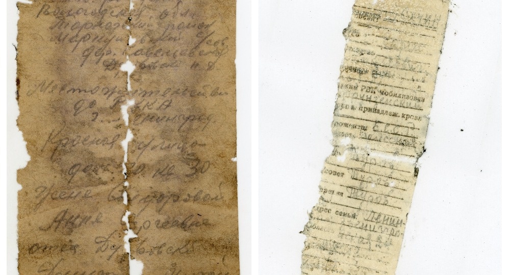 Новосибирские поисковики нашли останки 87 солдат ВОВ под Ленинградом