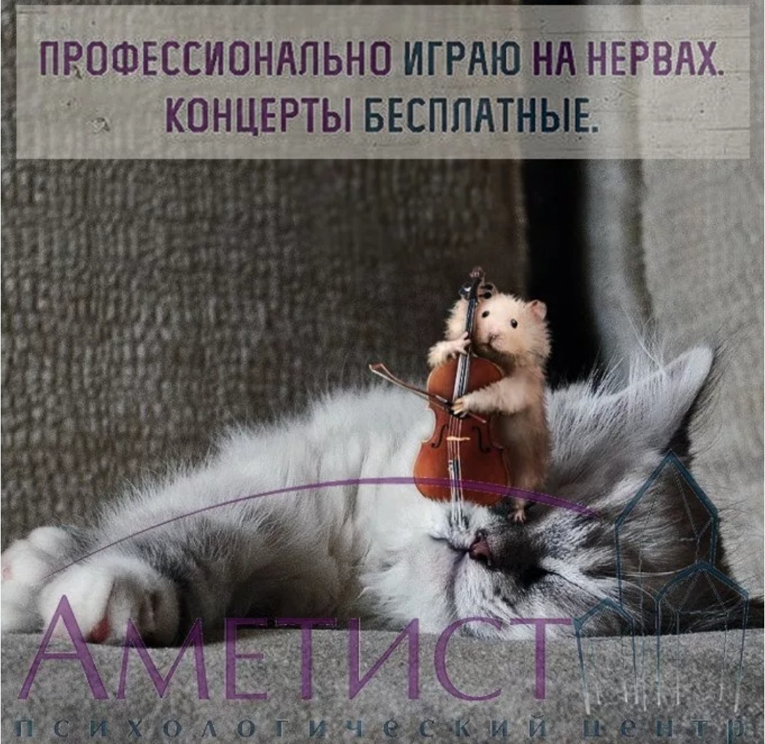 Всё фото из интернета