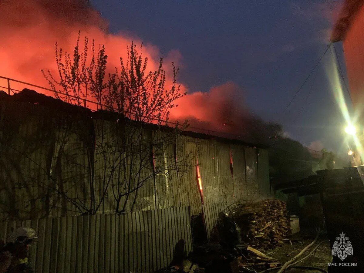    Фото: пресс-служба ГУ МЧС России по Петербургу