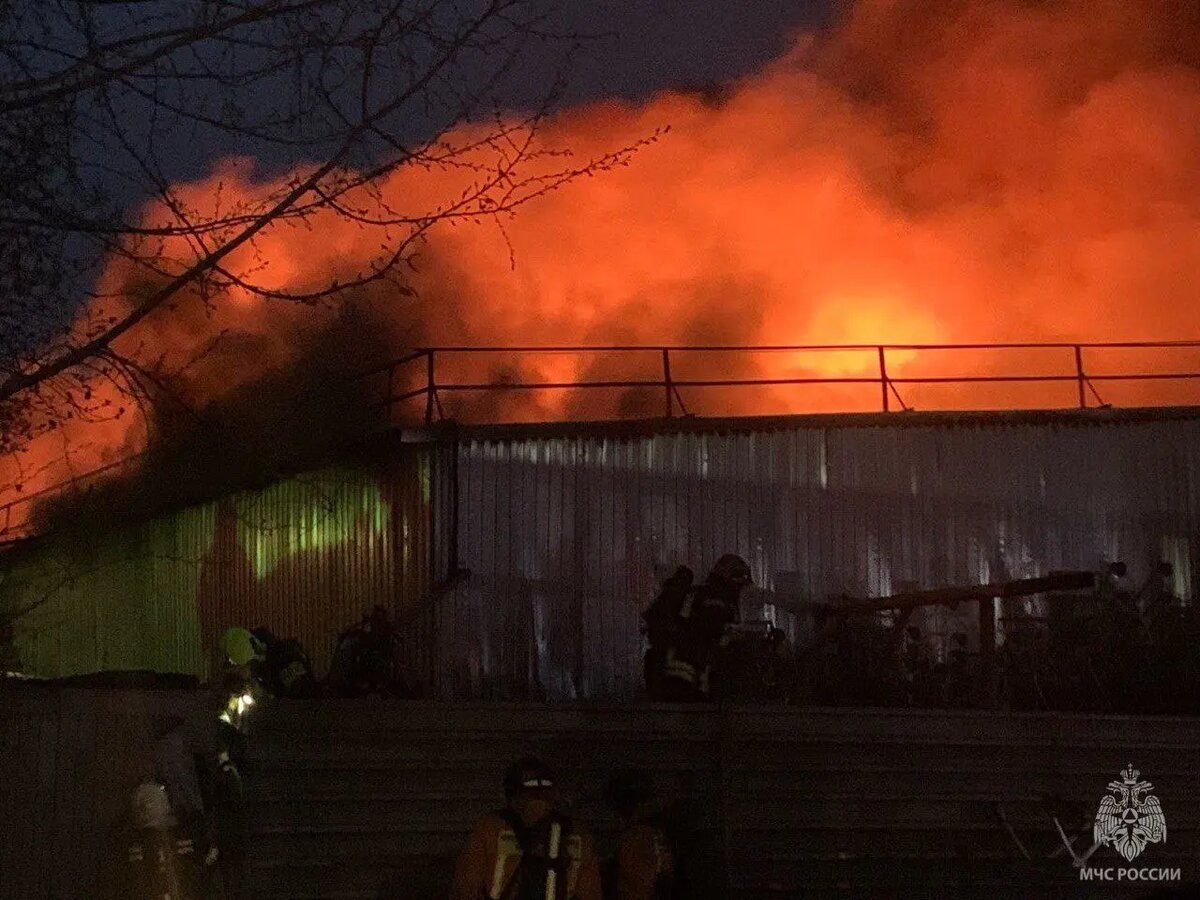    Фото: пресс-служба МЧС России