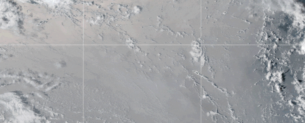 Извержение Хунга-Тонга. Источник: sciencealert.com