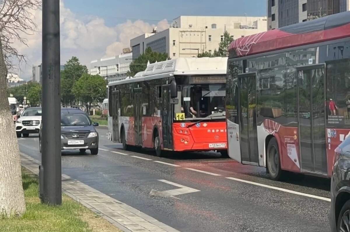    Проезд в общественном транспорте Перми 9 мая будет бесплатным