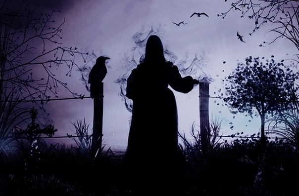 фото взято из открытого доступа сети интернет на Яндекс картинки