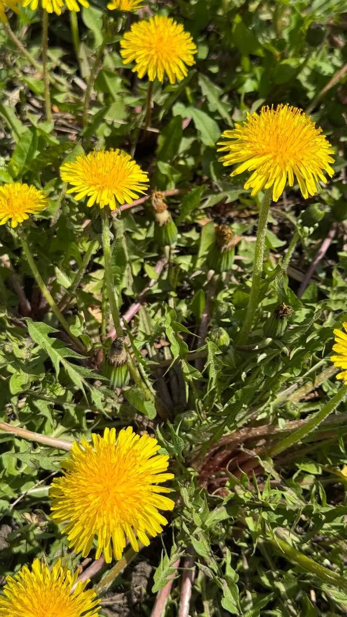 фотограф Фетиния Запольская