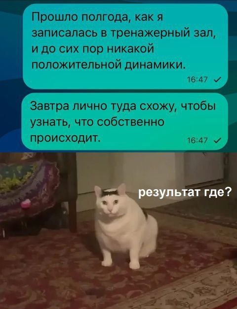 Иллюстрация с просторов