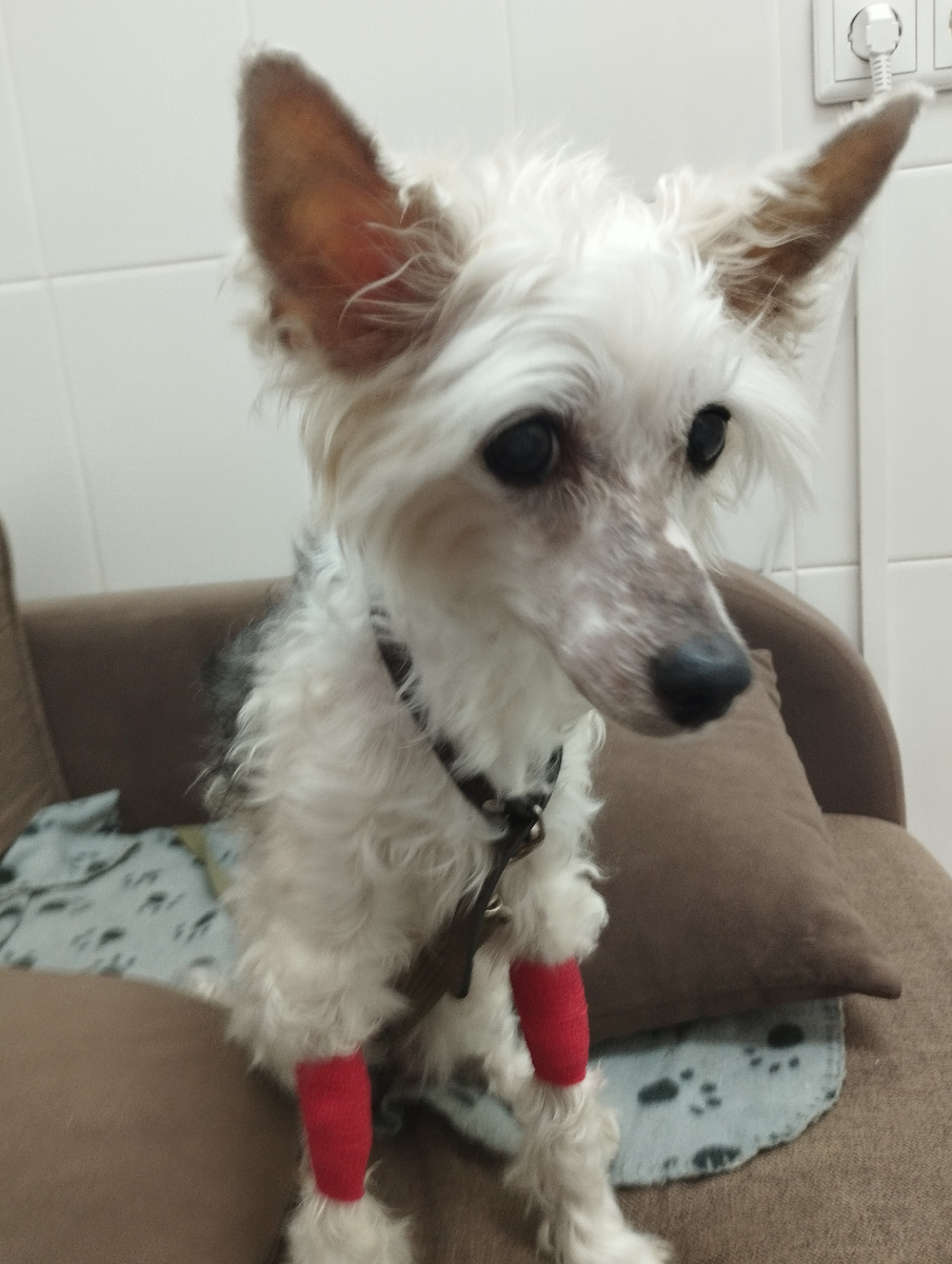 Пациент после манипуляций. Ждёт, когда я закончу приемы и пойдем домой