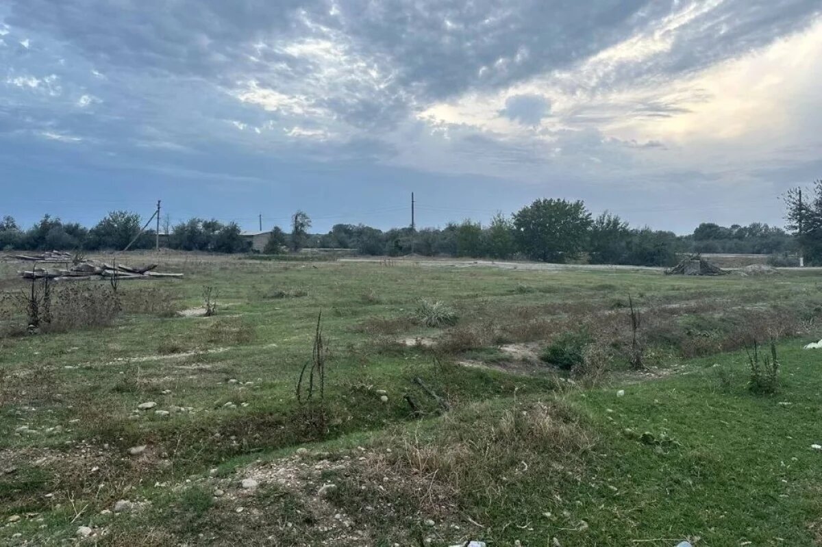    Тверской фермер лишился 66 га земли из-за буйства сорняков