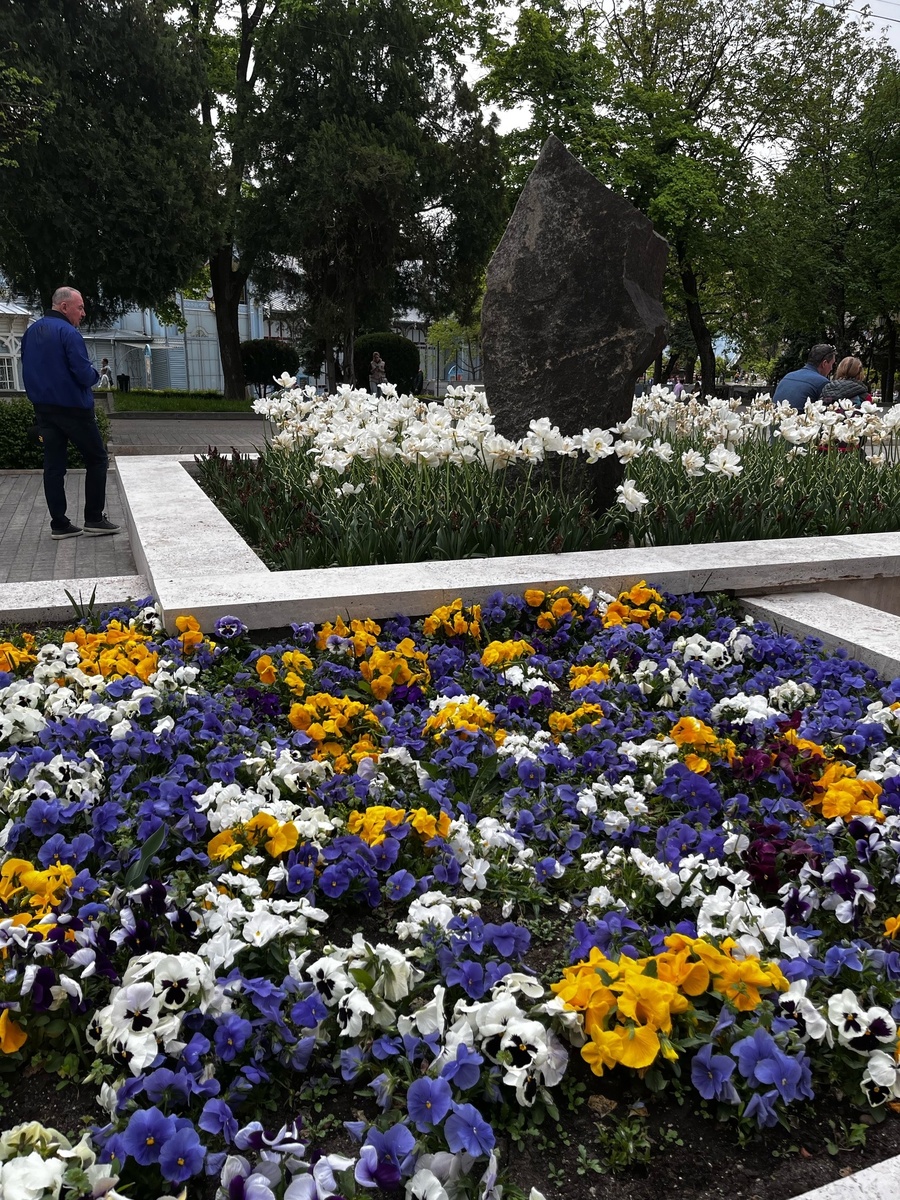 Цветы в парке