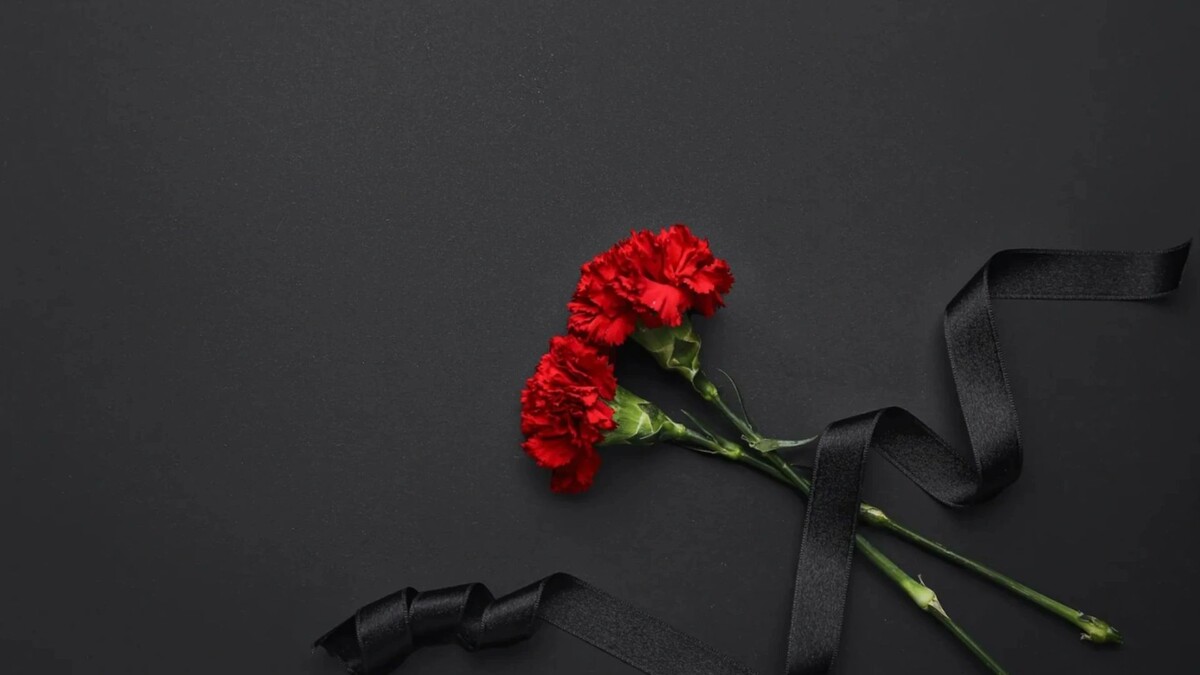    Фото: Pixel-Shot/Shutterstock/Fotodom