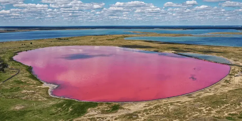 Необычный цвет воды у озера из-за обилия редких водорослей и крошечных рачков. Вода Малинового озера имеет целебные свойства