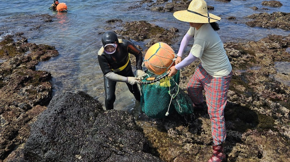    Генетический секрет корейских ныряльщиц которые покоряют океан в 80 лет