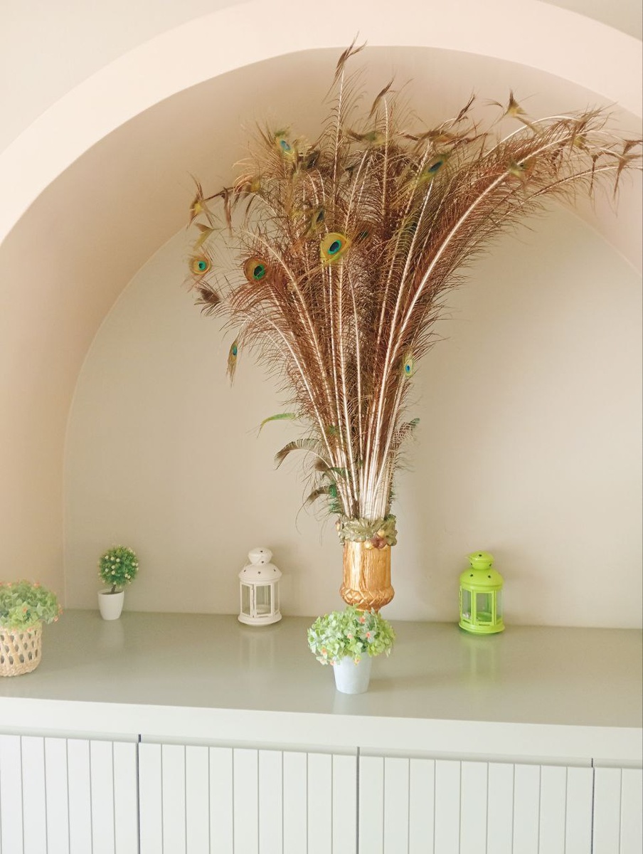 перья павлинов, которые проживают на территории отеля