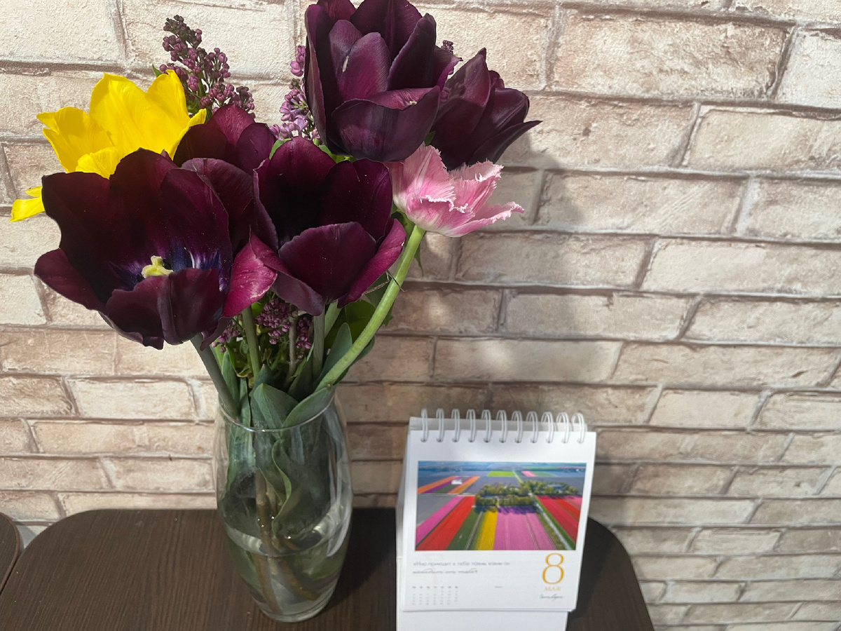 Обожаю дома живые цветы