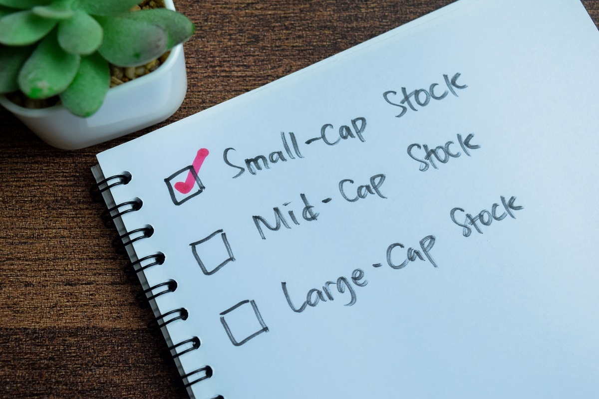 Shutterstock📷Компании принято классифицировать по уровню капитализации — это помогает инвесторам оценить масштаб бизнеса, степень устойчивости на рынке и потенциальные риски