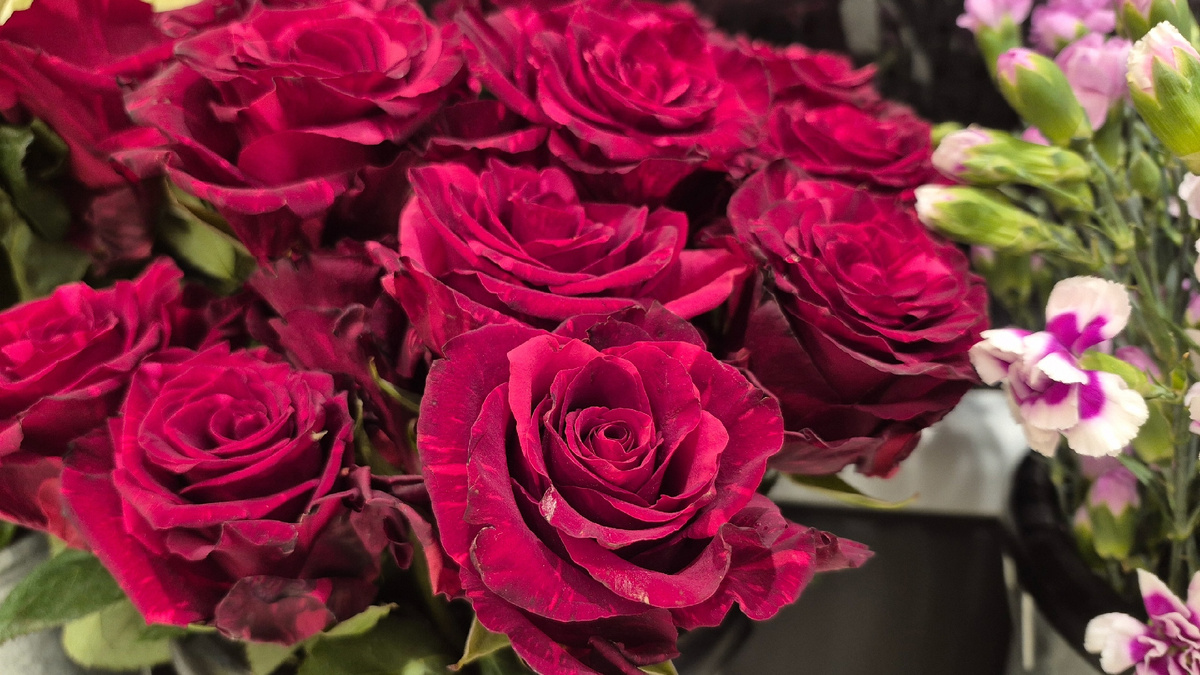 Цветы в Спаре. Эти розы неоднородного цвета, с розовыми вкраплениями. Тут не видно