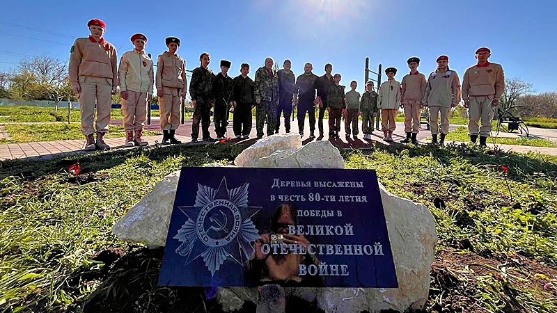    Березы напоминают о блокадном Ленинграде