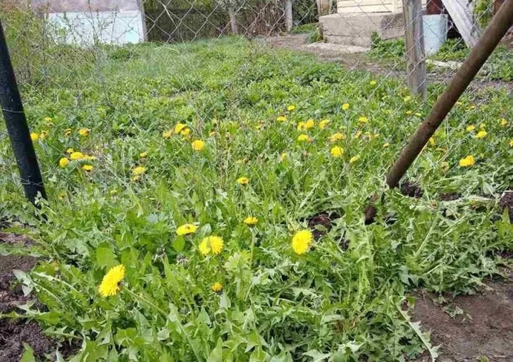    Фото: Пруфы.рф