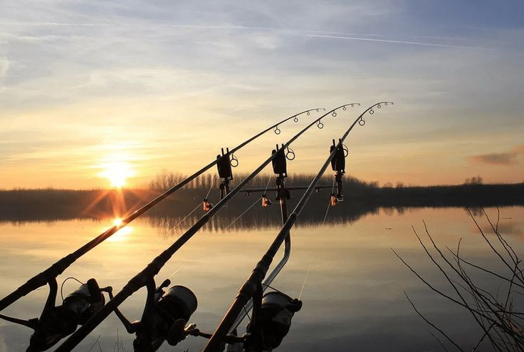 Фото с сайта: https://i.pinimg.com/736x/98/7d/28/987d281c1cf5c5f25227d30d937adae1.jpg